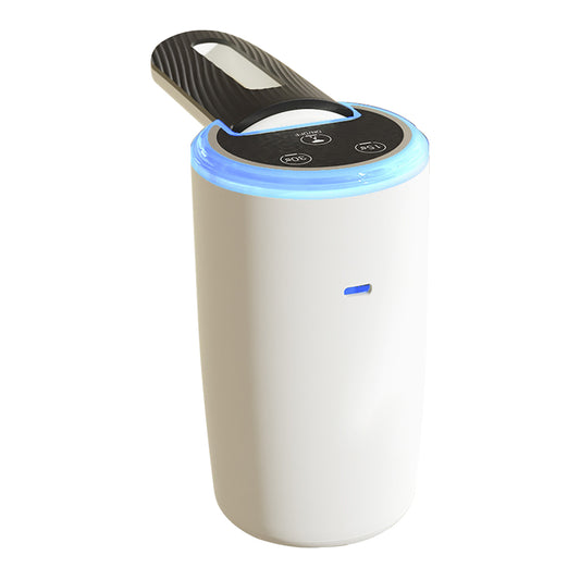 Bottled water pump