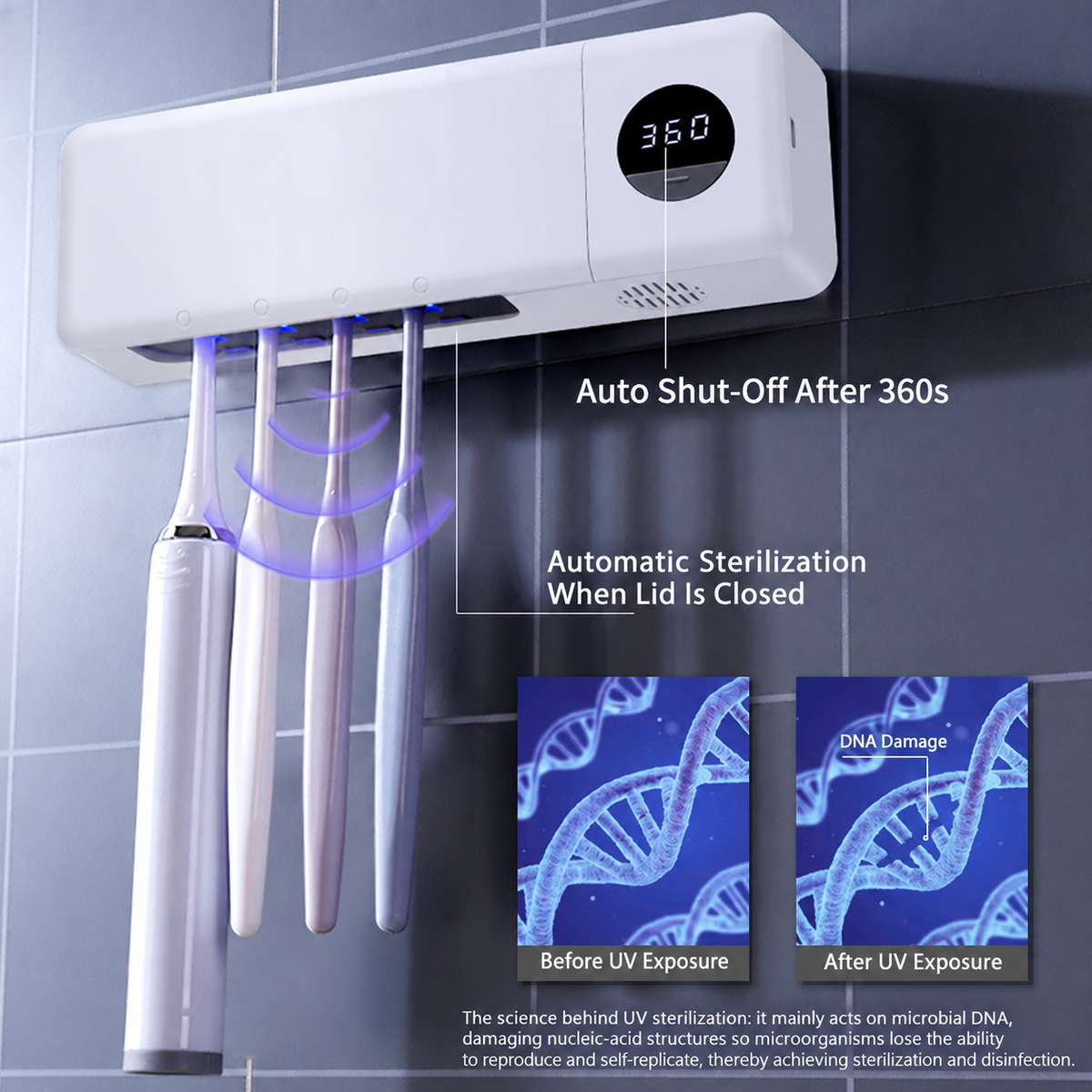 UV Toothbrush Sanitizer with Holder & Display