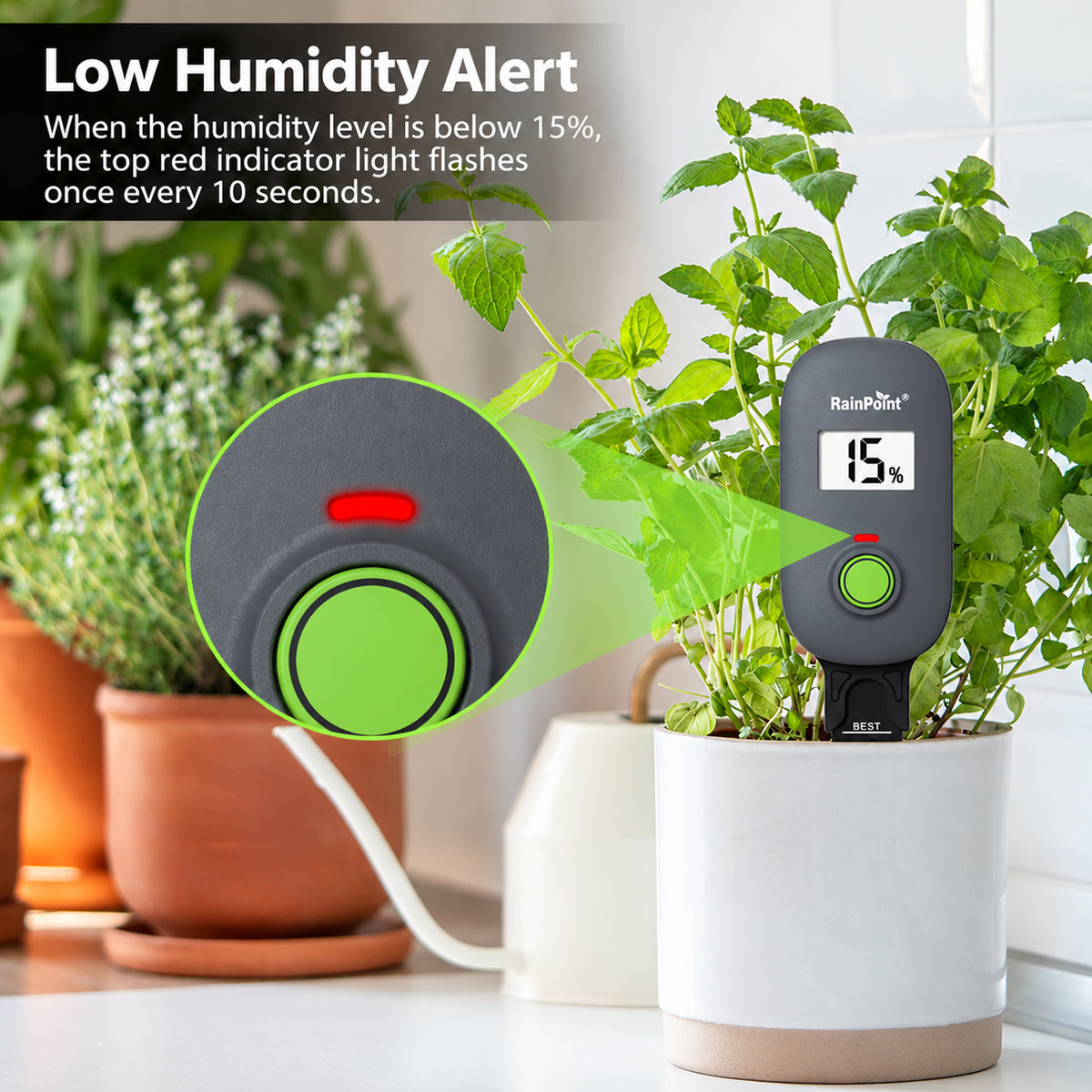 Soil Moisture and Temperature Meter