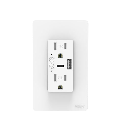WiFi Smart Wall Outlet with USB-C & App Control