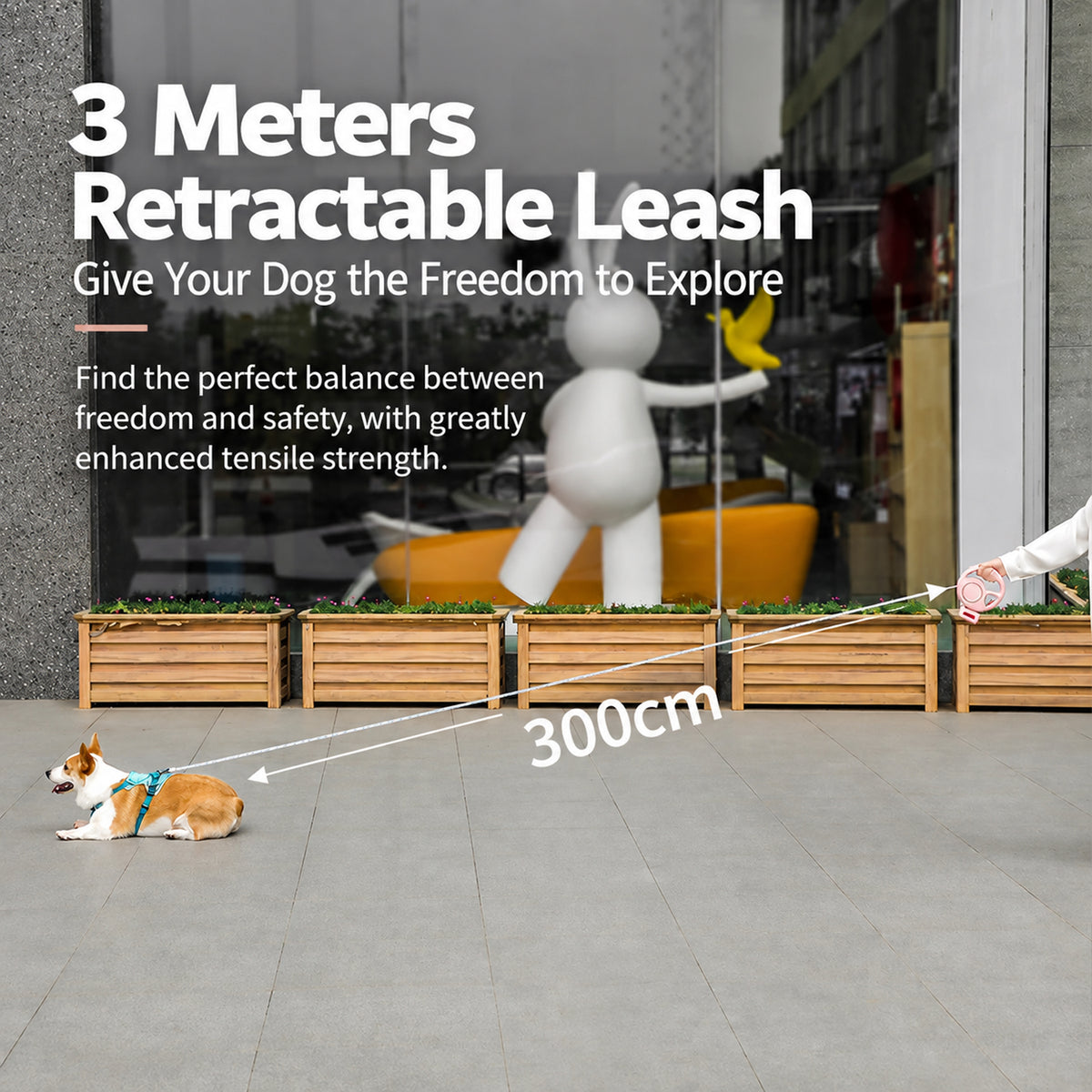 Retractable Dog Leash with LED Light & Storage