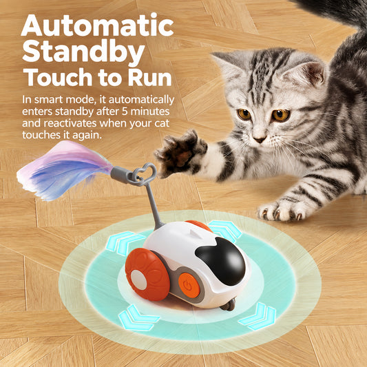 Remote-controlled cat-teasing car