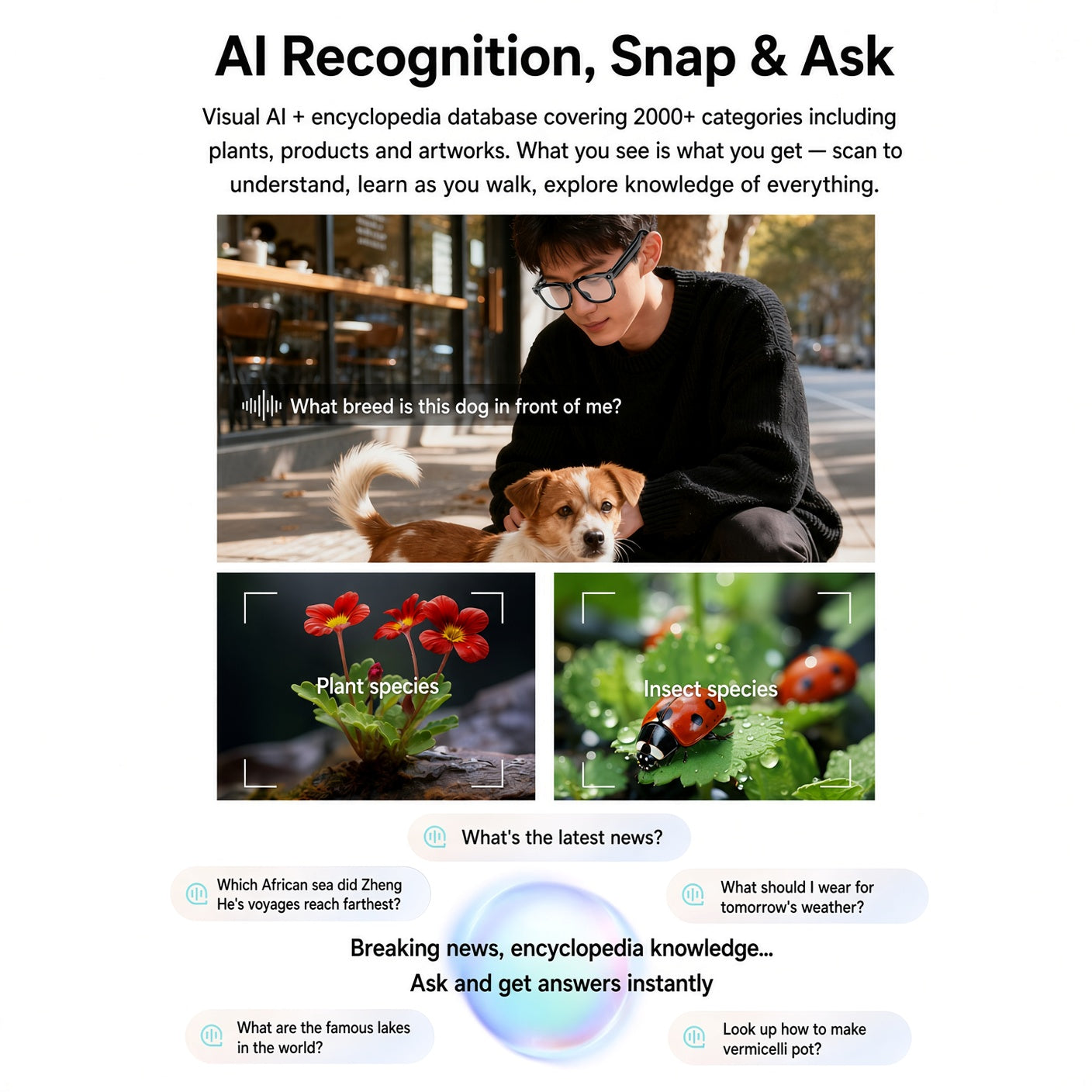 AI Glasses with Camera – Live Translate, ID & Music