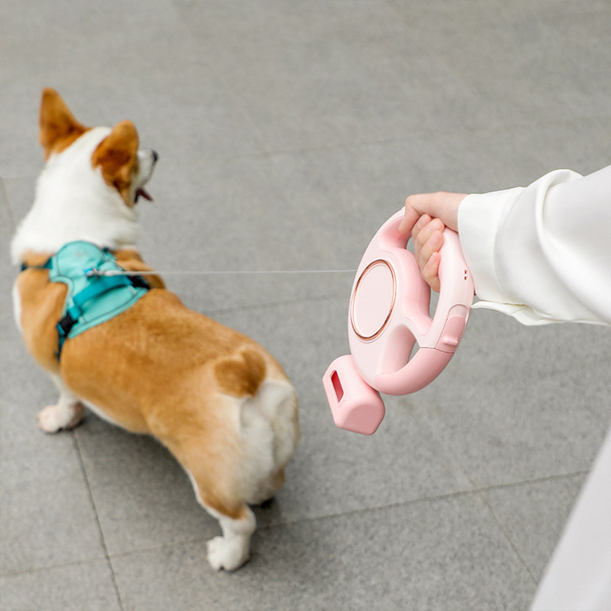 Retractable Dog Leash with LED Light & Storage